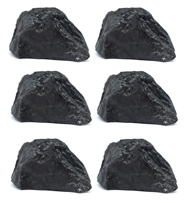 6PK Raw Bituminous Coal, Sedimentary Rock Specimens, ± 1" Each