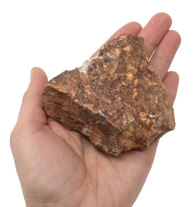Raw Breccia, Sedimentary Rock Specimen - Hand Sample, ± 2.75"
