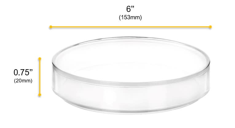 Petri Dish, 6" x 0.75" (153 x 20mm) - With Lid - Polypropylene Plastic