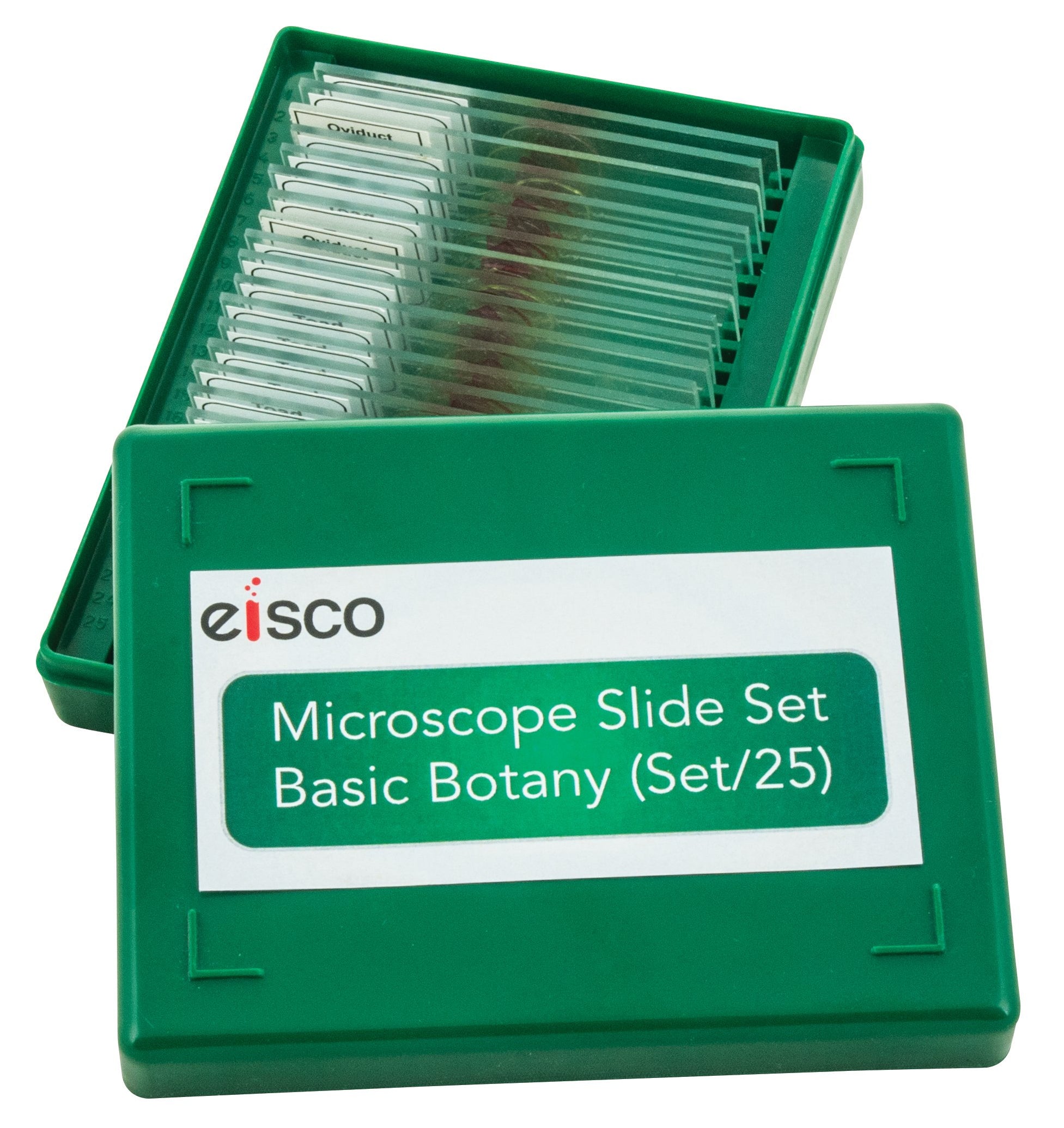 Microscope Slide Set Basic Botany Models, Set of 25 — hBARSCI
