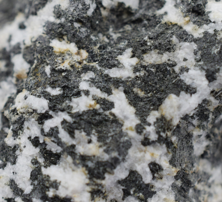 Raw Diorite, Igneous Rock Specimen, ± 1"