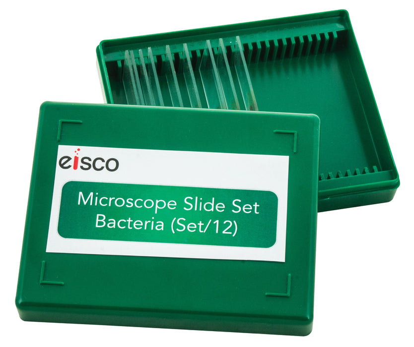 Microscope Slide Set - Bacteria, Set of 12