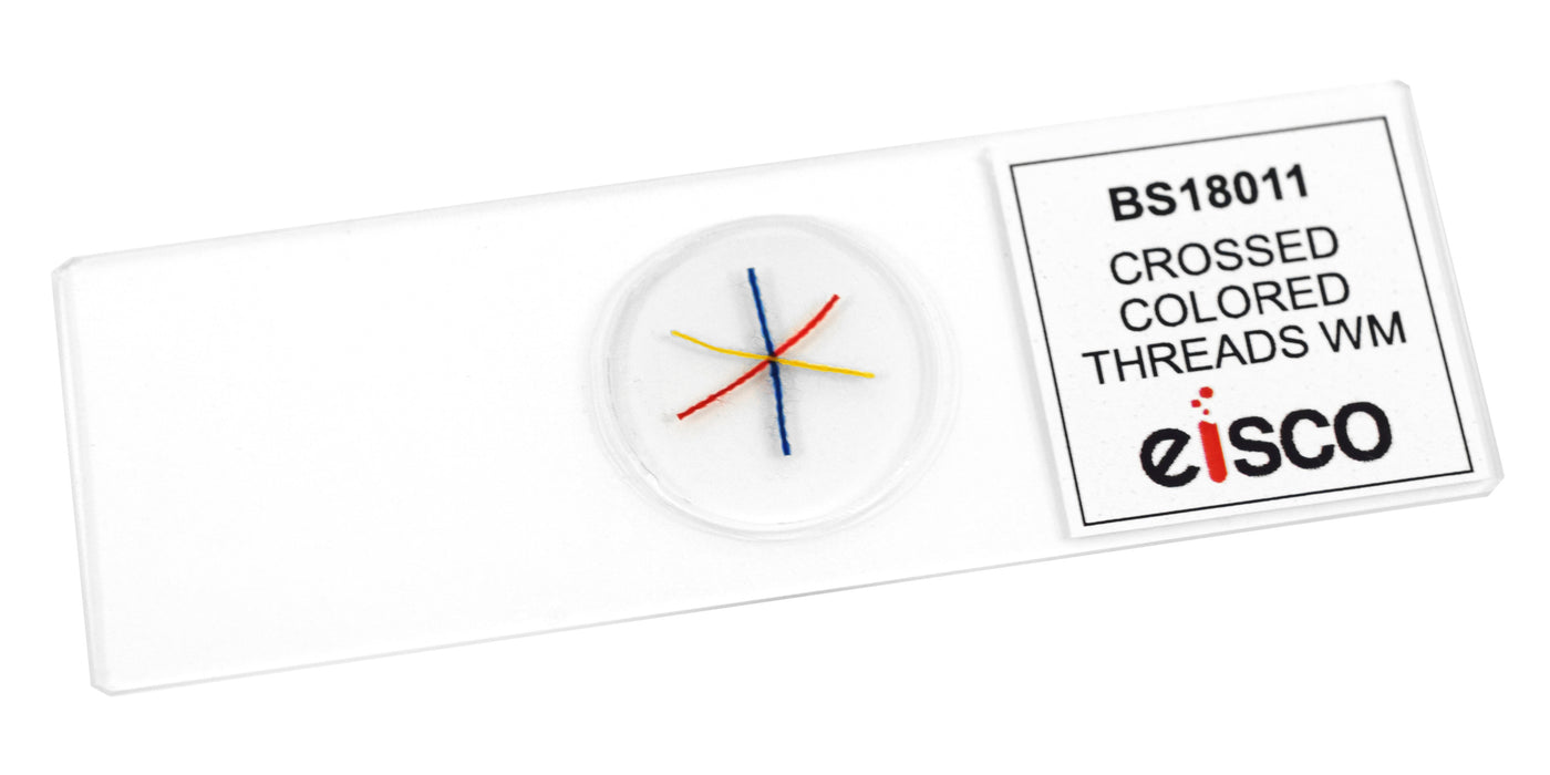 Crossed, Colored Threads - Prepared Microscope Slide