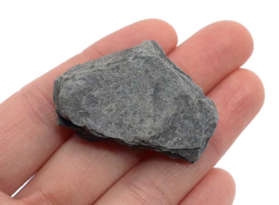 12PK Raw Carbonaceous Shale, Sedimentary Rock Specimens, ± 1" Each
