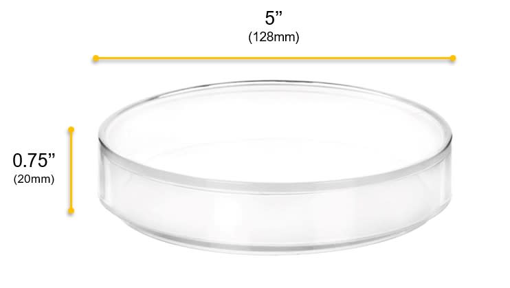 12PK Petri Dishes, 5" x 0.75" (128 x 20mm) - With Lid - Polypropylene Plastic