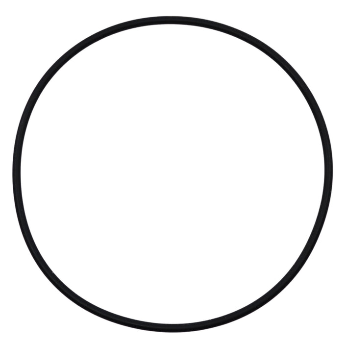 Replacement Belt for Hand-Driven Newton's Color Disc (Eisco PH0582A)