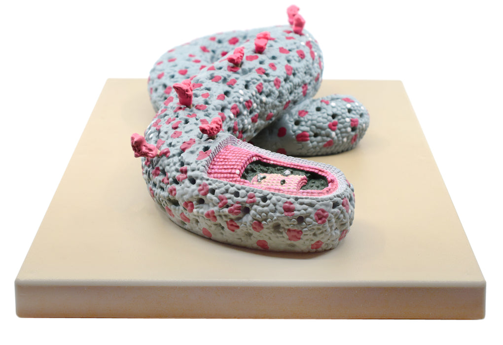 Ebola Virus Model, Three Dimensional, Sectional View, with Hand Painted Details, 100,000x Magnified - Mounted on Base, 16"x12"x1" - Eisco Labs
