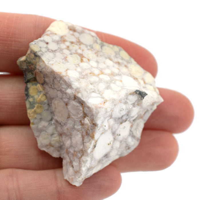 6PK Raw Conglomerate, Sedimentary Rock Specimens, ± 1" Each