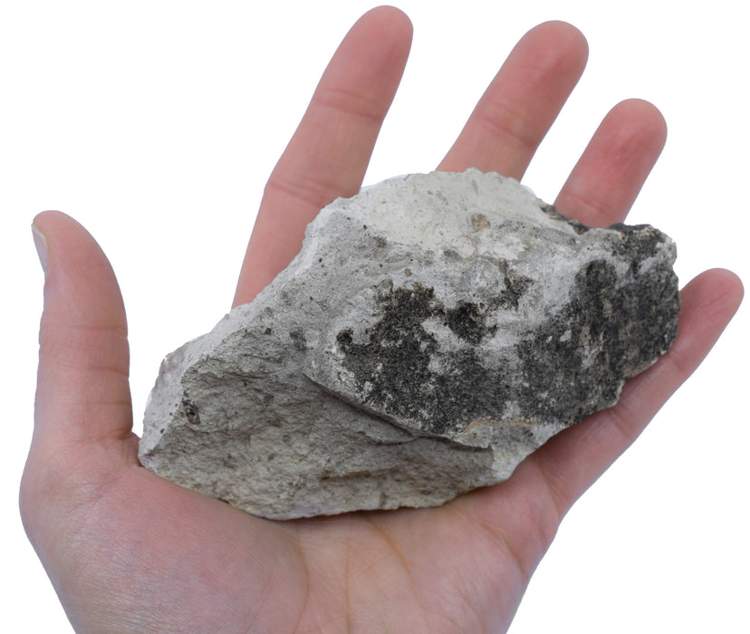 Raw Volcanic Tuff, Igneous Rock Specimen - Hand Sample, ± 2.75"