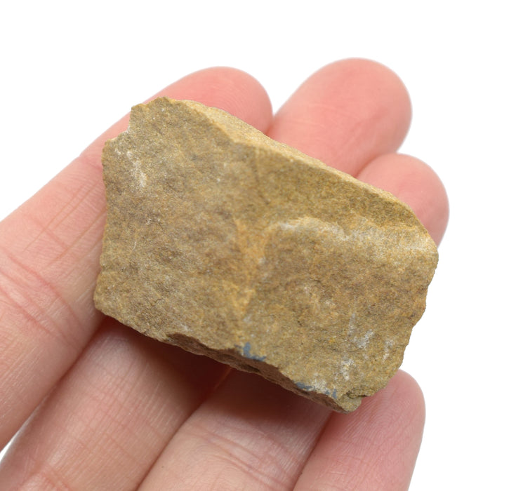 Raw White Sandstone, Sedimentary Rock Specimen, ± 1"