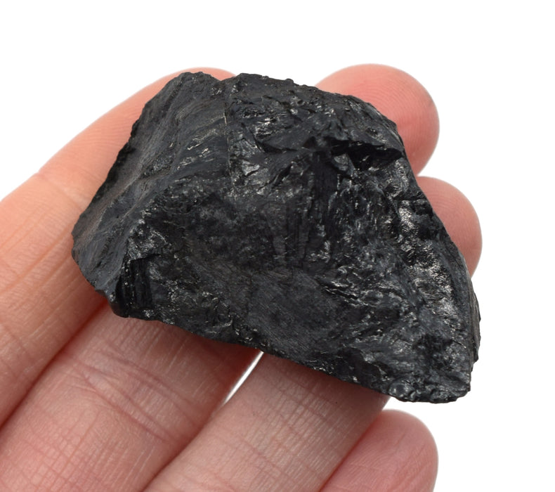 Raw Bituminous Coal, Sedimentary Rock Specimen, ± 1"