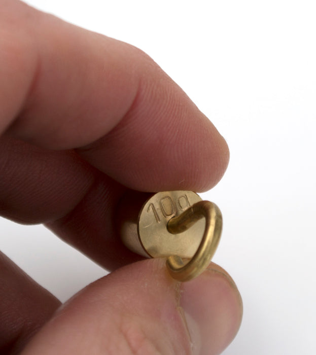 Single Hooked Weight Brass 10 grams (0.022 Lbs.) Eisco Labs