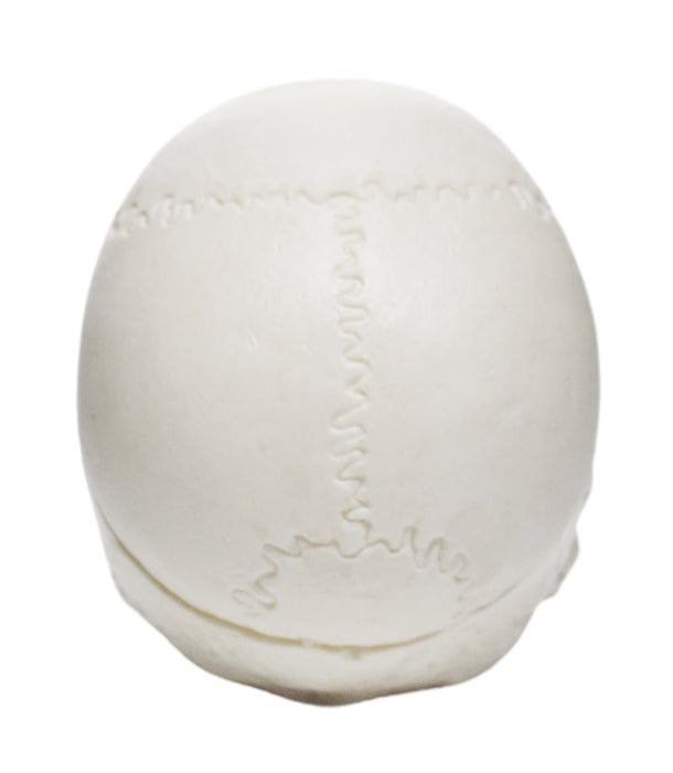 Miniature Human Adult Skull Model, 2.5 Inch - 3 Parts - Articulated Mandible & Removable Skull Cap