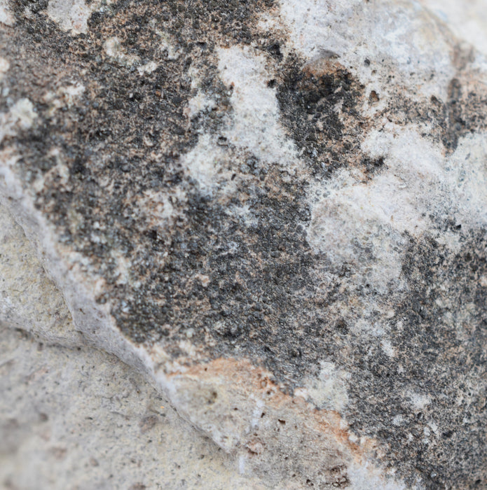 Raw Volcanic Tuff, Igneous Rock Specimen - Hand Sample, ± 2.75"