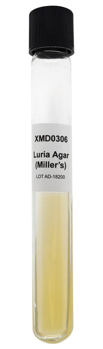 Luria (Miller’s) Agar Slants, Case of 100 – Nutritionally Rich Growth Medium - Innovating Science