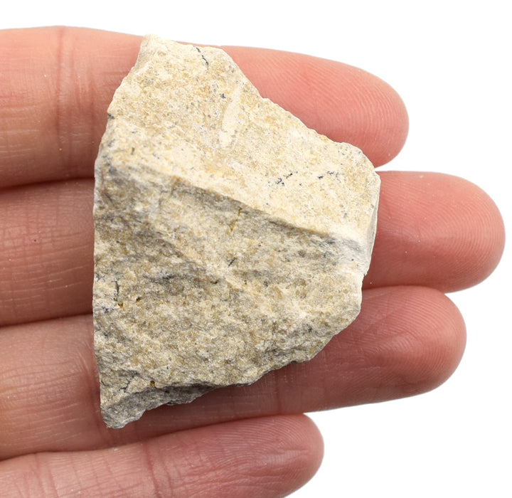 6PK Raw Travertine, Sedimentary Rock Specimens, ?? 1" Each