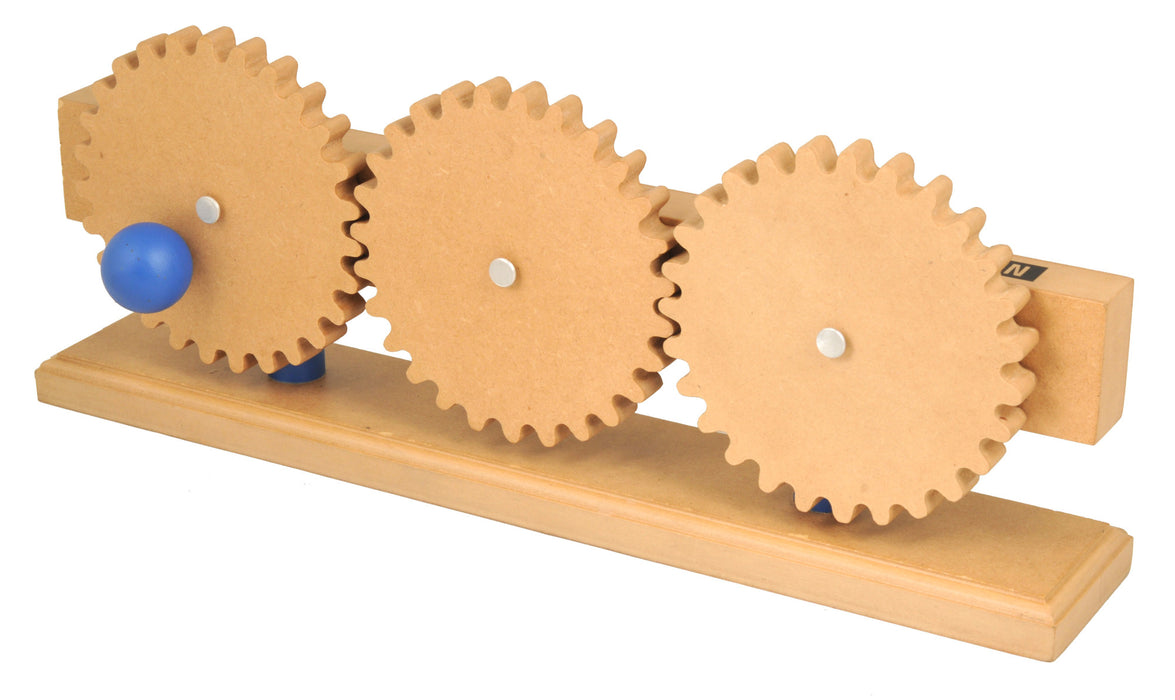 Gear Train Model, 16.25 Inch - Demonstrates How Gears Work - Simple Machines, Eisco Labs