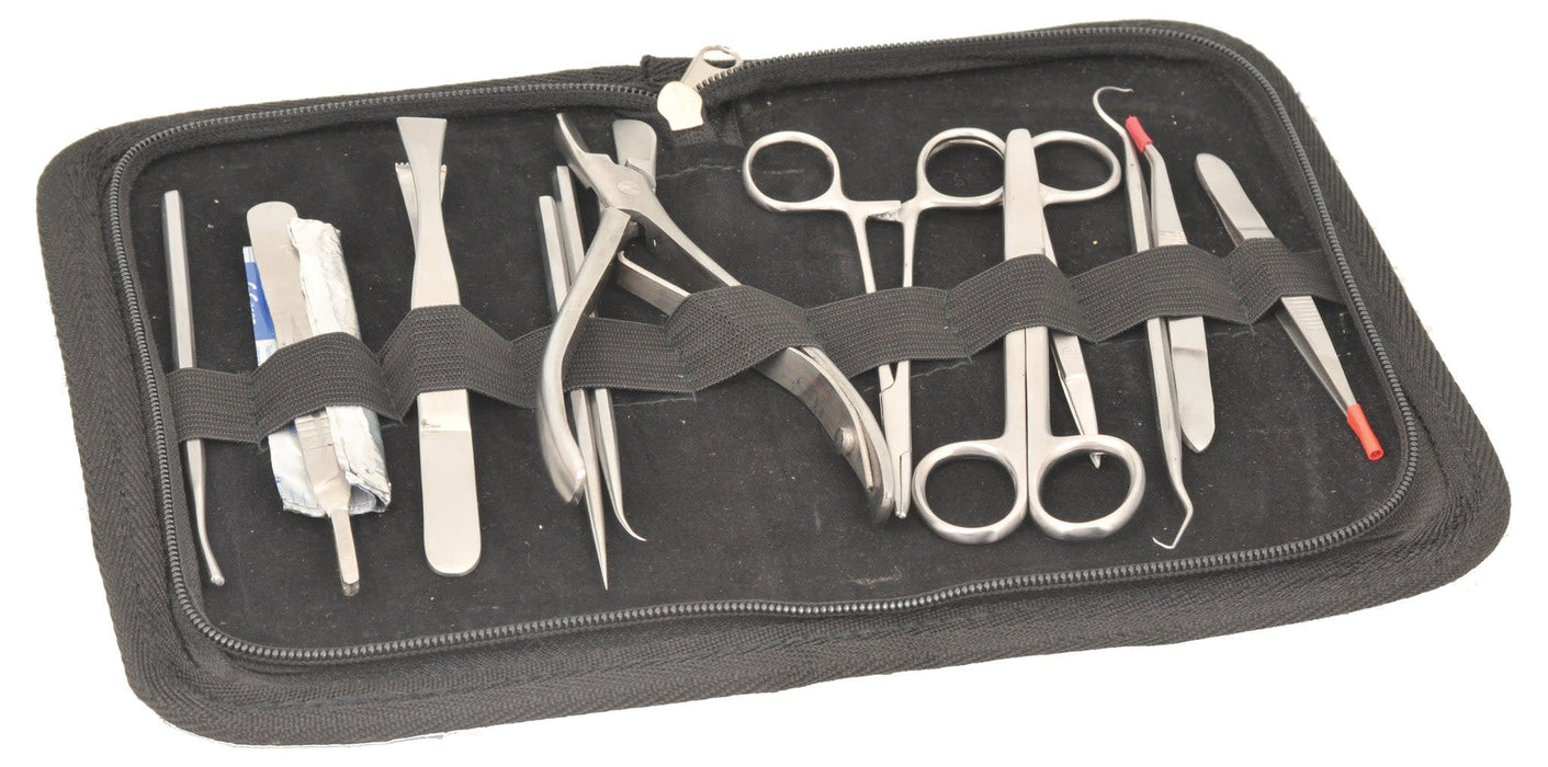 12 Pcs Instructor's Dissection Instrument Set - Stainless Steel - hBARSCI