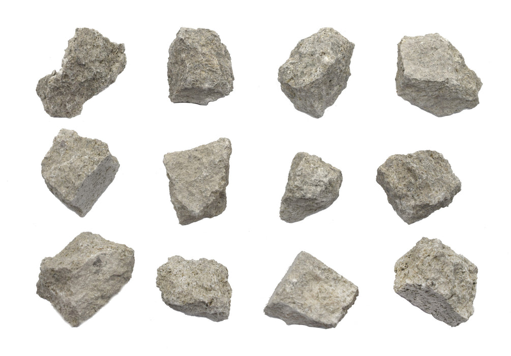 12PK Raw Fossiliferous Limestone, Sedimentary Rock Specimens, ± 1" Each