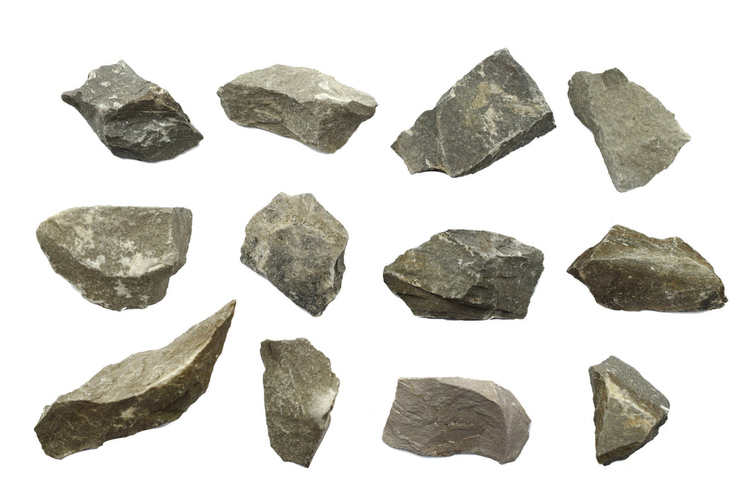 12 Pack - Raw Argillaceous Shale, Sedimentary Rock Specimens, ± 1" Each