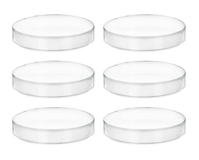 6PK Petri Dishes, 6" x 0.75" (153 x 20mm) - With Lid - Polypropylene Plastic