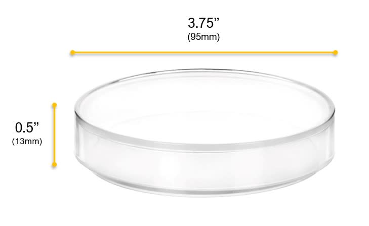 12PK Petri Dishes, 3.75" x 0.5" (95 x 13mm) - With Lid - Polypropylene Plastic