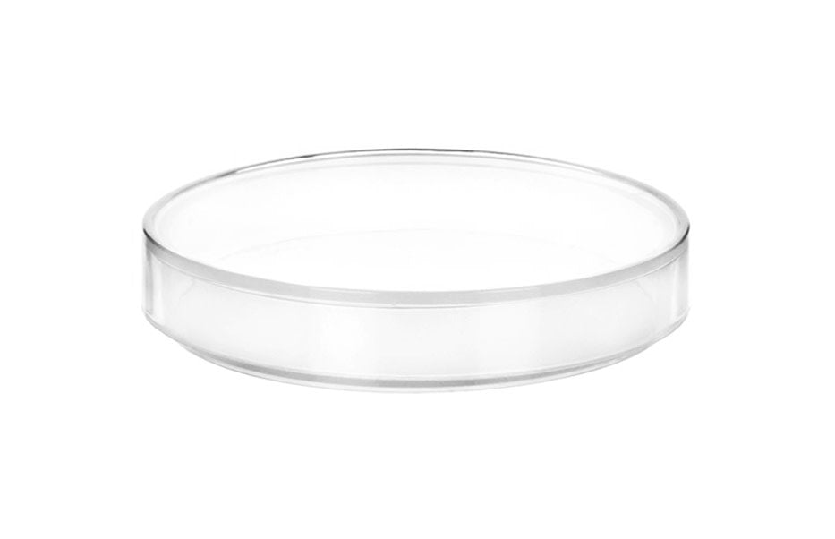 12PK Petri Dishes, 5" x 0.75" (128 x 20mm) - With Lid - Polypropylene Plastic