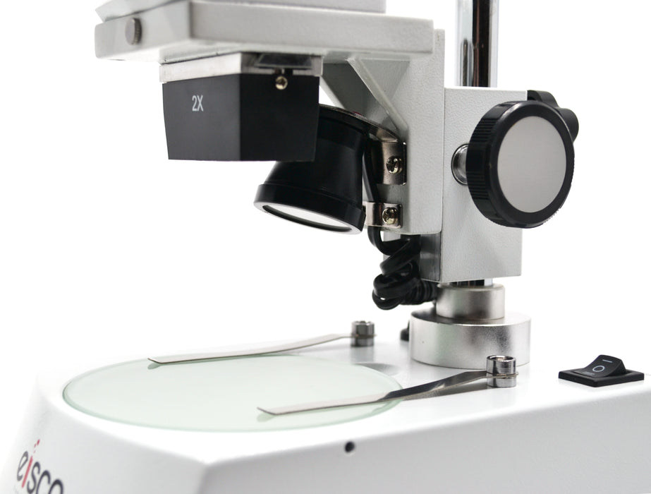 Microscope Stereoscopic