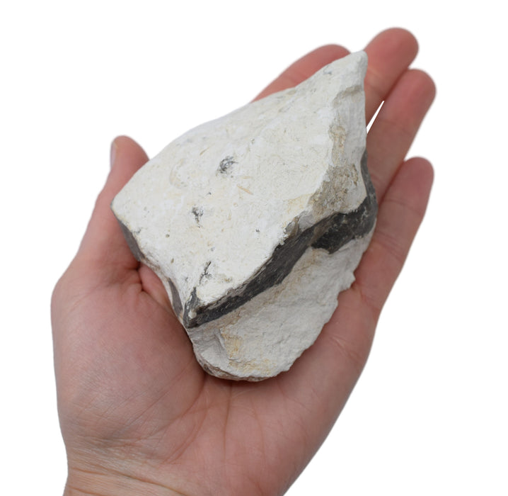 Raw Chert, Mineral Specimen - Hand Sample, ± 2.75"