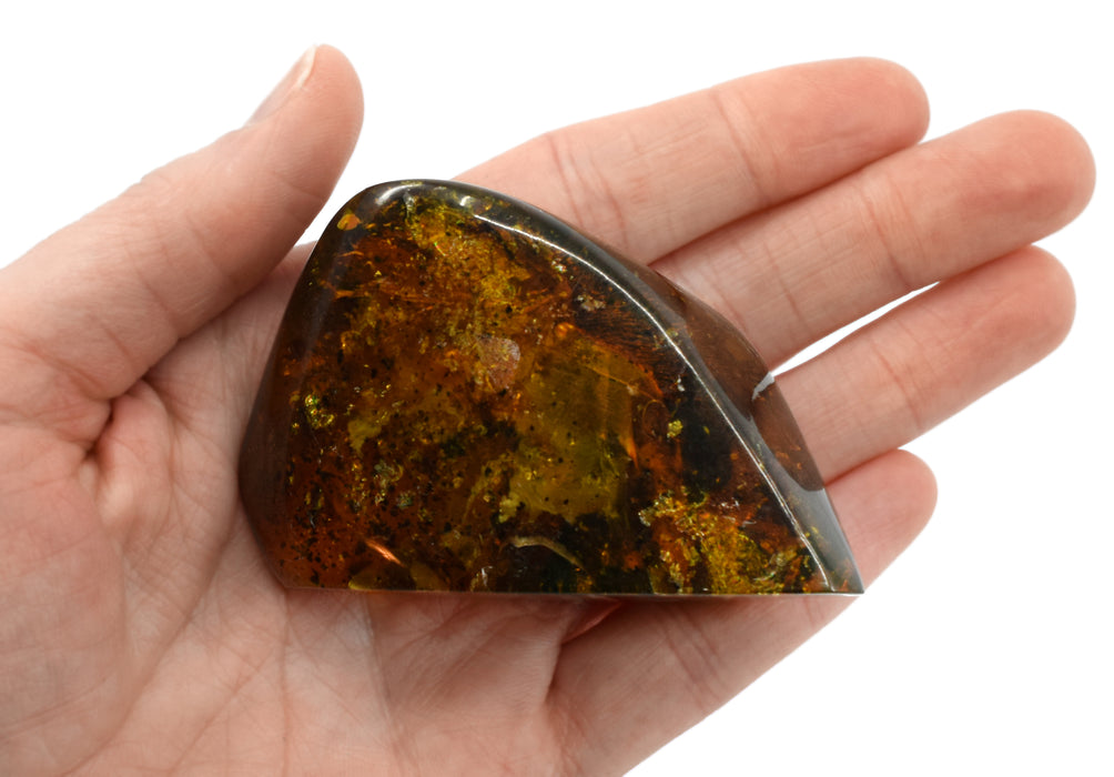 Amber Preserved Insect, 35-40g - Genuine Insect Specimen, 100% Authentic Chiapas Mexico Amber