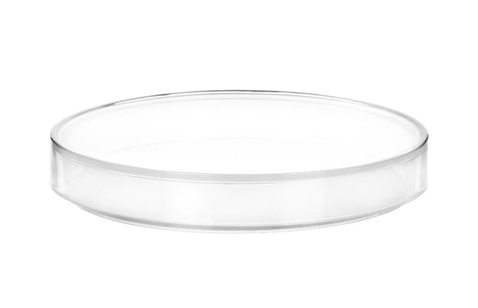 12PK Petri Dishes, 6" x 0.75" (153 x 20mm) - With Lid - Polypropylene Plastic