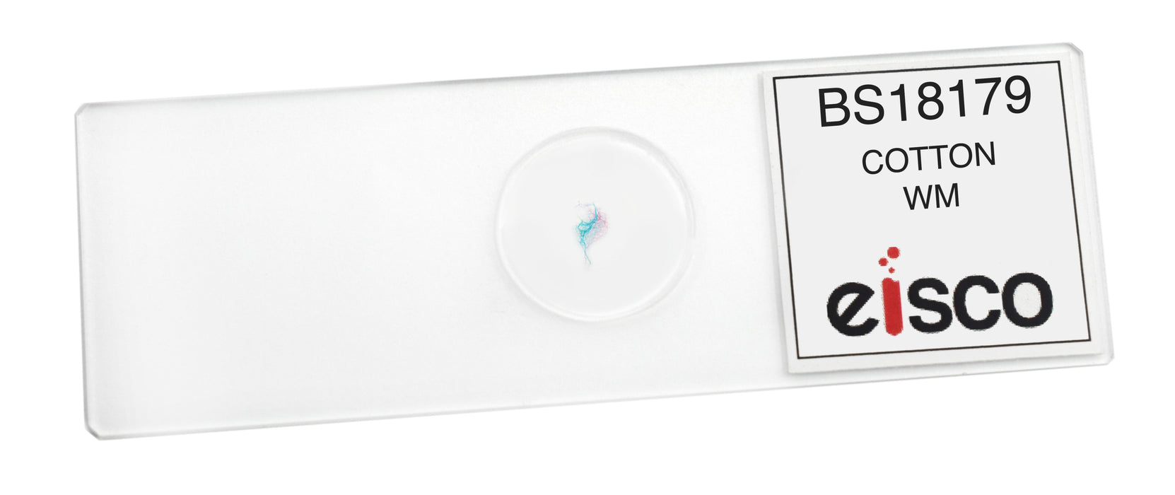 Cotton - Prepared Microscope Slide - 75x25mm
