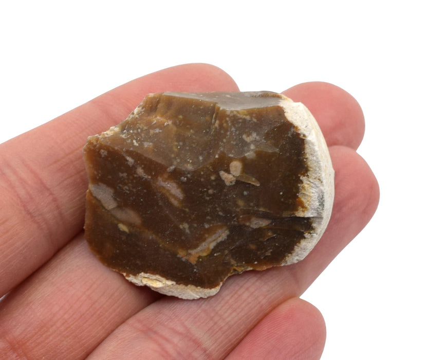 Raw Chert, Mineral Specimen, ± 1"