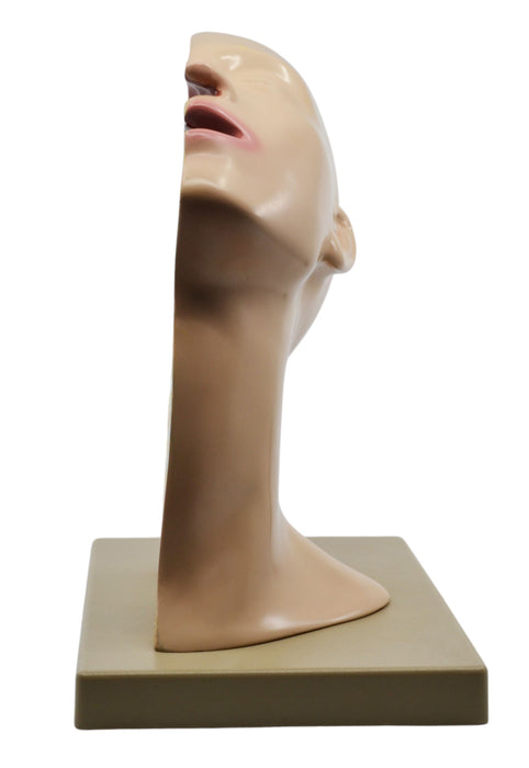 Nasal Swab Model, 12 Inch - For Demonstration of Nasopharyngeal Testing