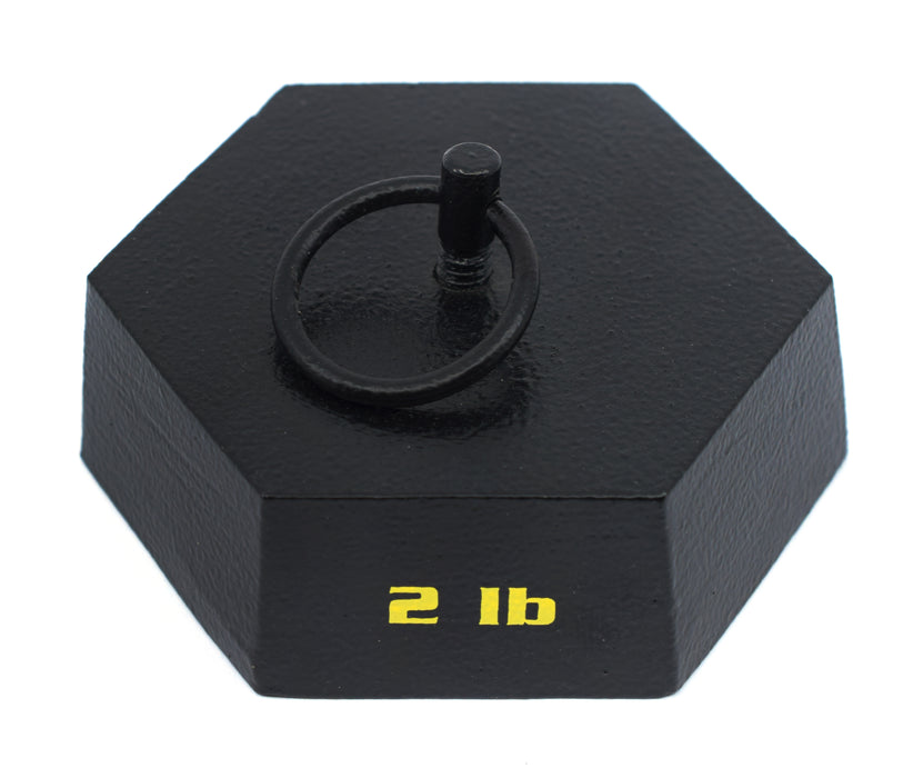 Hexagonal Mass, 2 Pounds - with Lifting Ring - Cast Iron - Eisco Labs