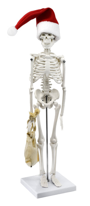 Dead Elf in the Lab, 17 Inch - Miniature Skeleton, Santa Hat & Christmas Coal
