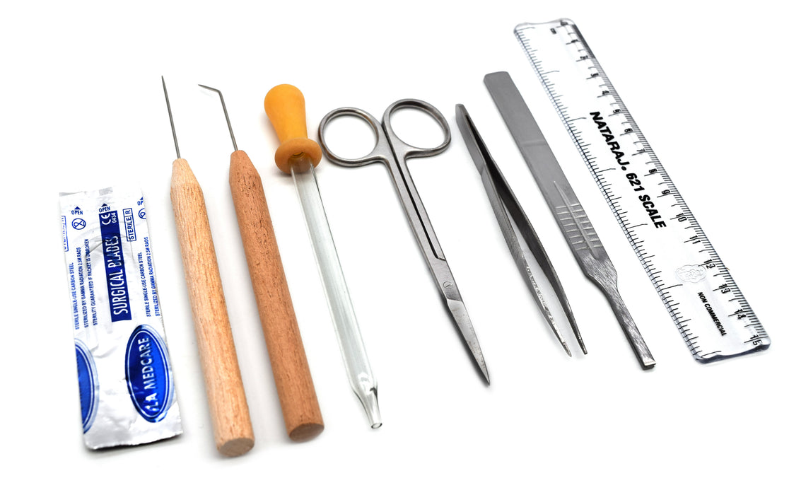 Dissection Set, Economy, 7 Pcs - Stainless Steel - Leather Storage Case