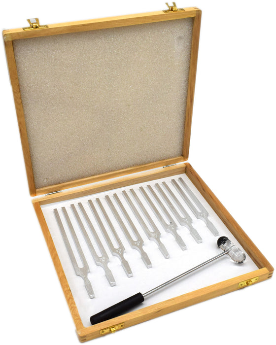Physics Tuning Forks, Set of 8, with Mallet - Scientific Pitch, C4 = 256Hz - Includes Wooden Storage Case - Designed for Scientifc and Physics Experiments - Eisco Labs