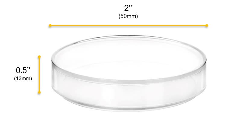 12PK Petri Dishes, 2" x 0.5" (50 x 13mm) - With Lid - Polypropylene Plastic