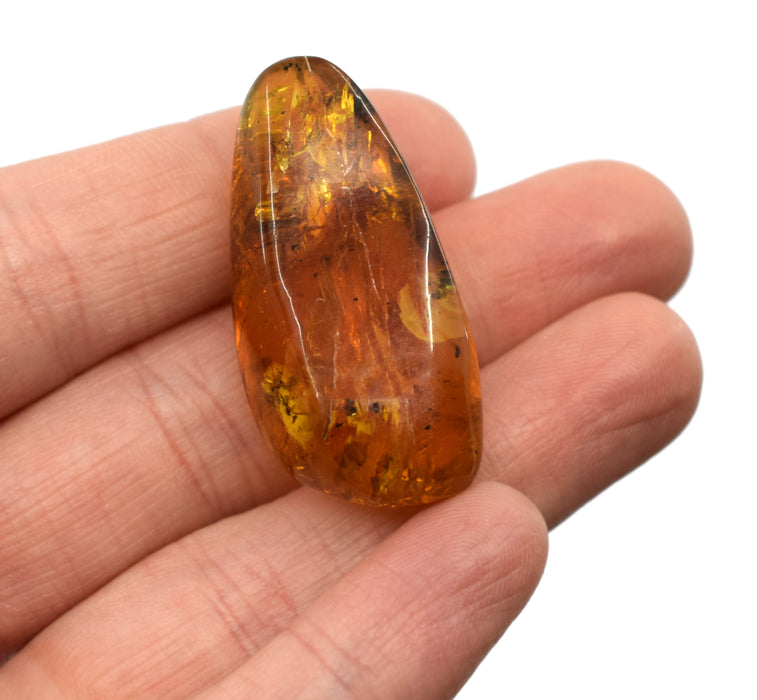 Amber Preserved Insect, 4-8g - Genuine Insect Specimen, 100% Authentic Chiapas Mexico Amber