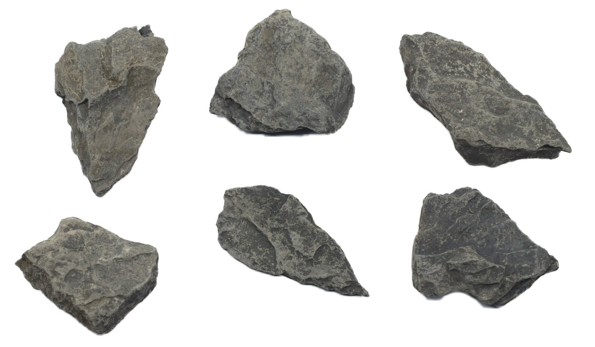 6PK Raw Carbonaceous Shale, Sedimentary Rock Specimens, ± 1" Each