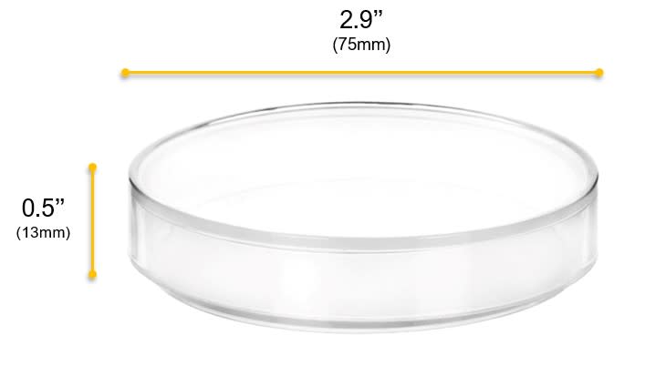 12PK Petri Dishes, 2.9" x 0.5" (75 x 13mm) - With Lid - Polypropylene Plastic