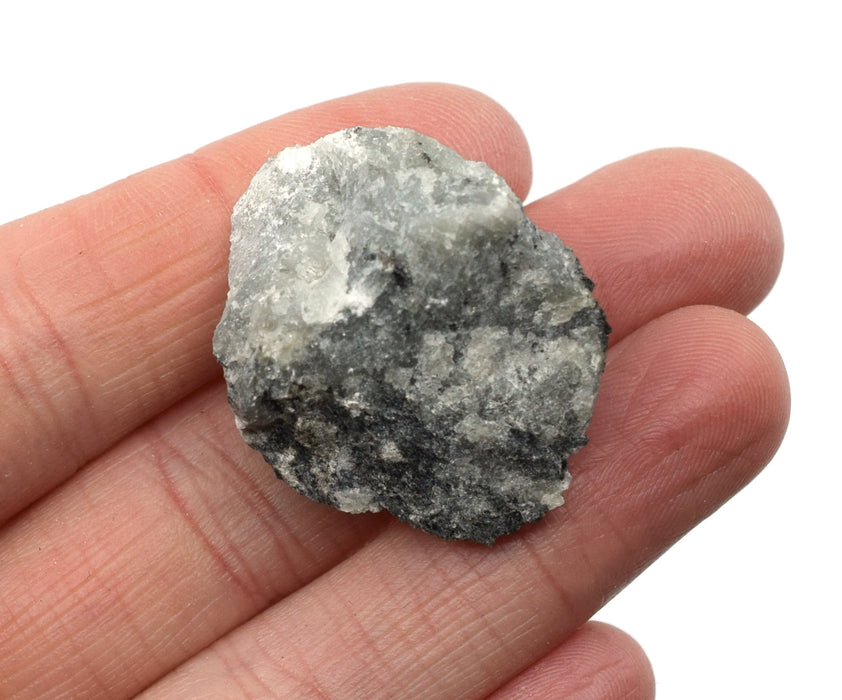 6PK Raw Labradorite, Sedimentary Rock Specimens, ± 1" Each