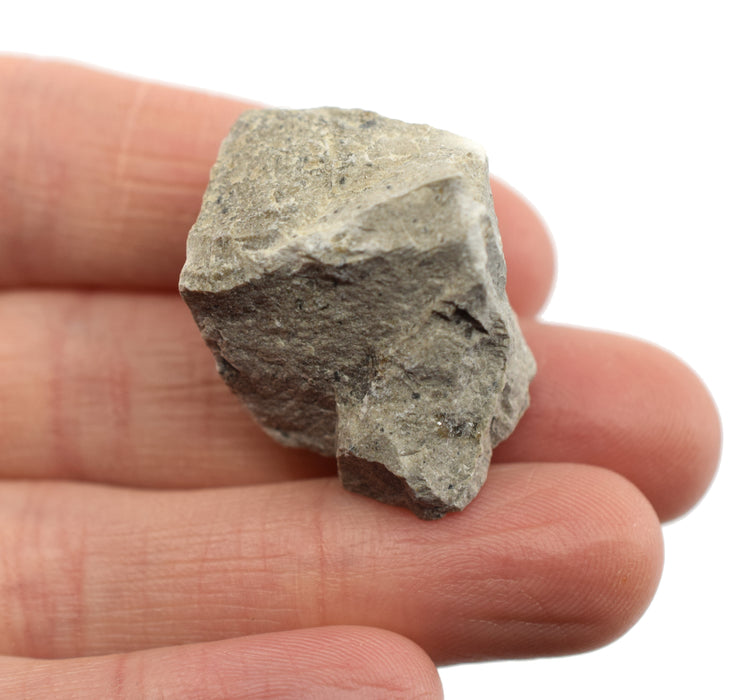 12PK Raw Gray Limestone, Sedimentary Rock Specimens, ± 1" Each