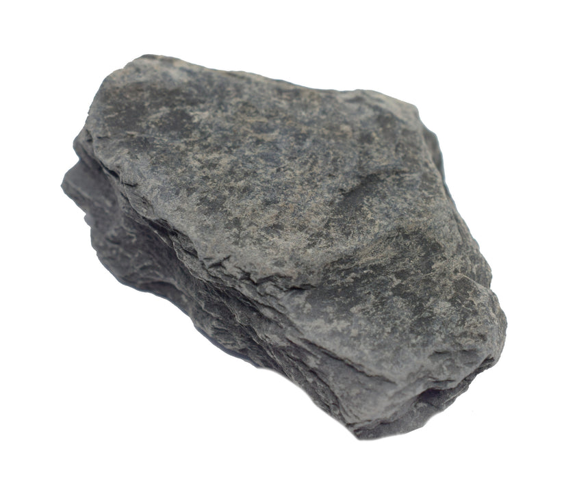 12PK Raw Carbonaceous Shale, Sedimentary Rock Specimens, ± 1" Each