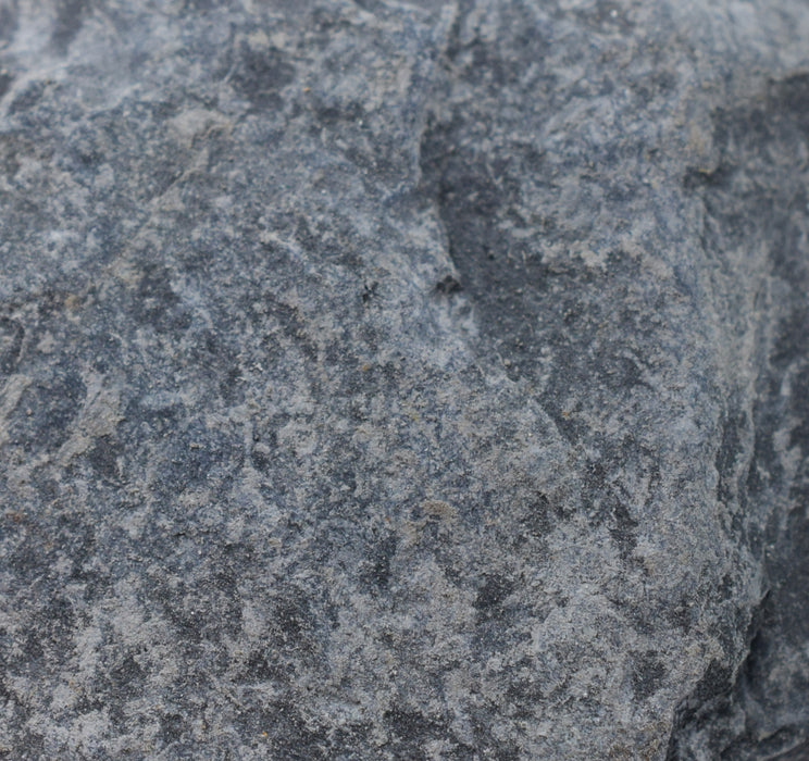 12PK Raw Carbonaceous Shale, Sedimentary Rock Specimens, ± 1" Each