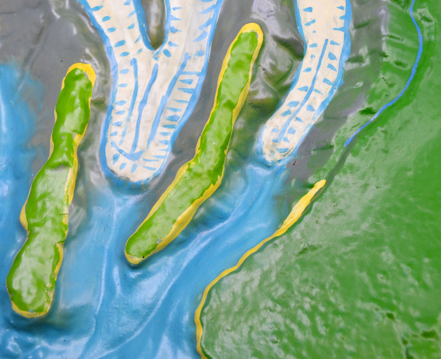 2 Piece Comparative Terrain Landform Models, 23.5 Inch