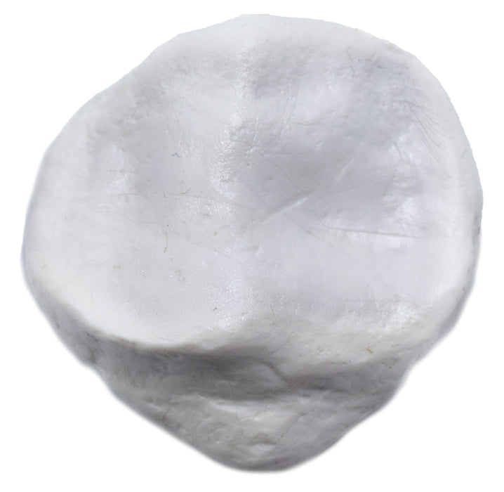 Patella Bone - Right - Anatomically Accurate, Detailed Human Bone Replica