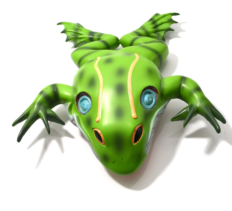 Bull Frog Model, 22 Inch - Mounted
