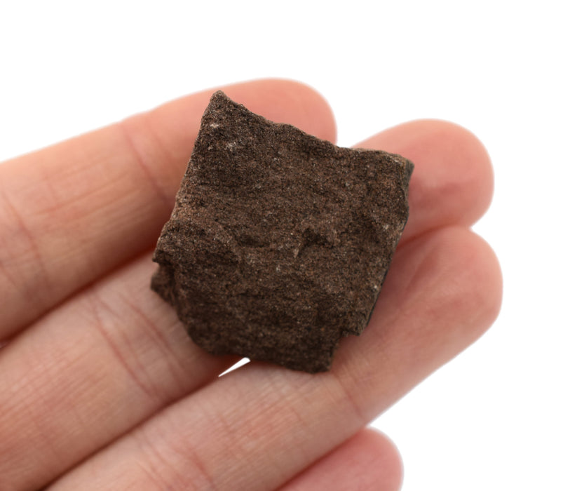 6PK Raw Red Sandstone, Sedimentary Rock Specimens, ± 1" Each